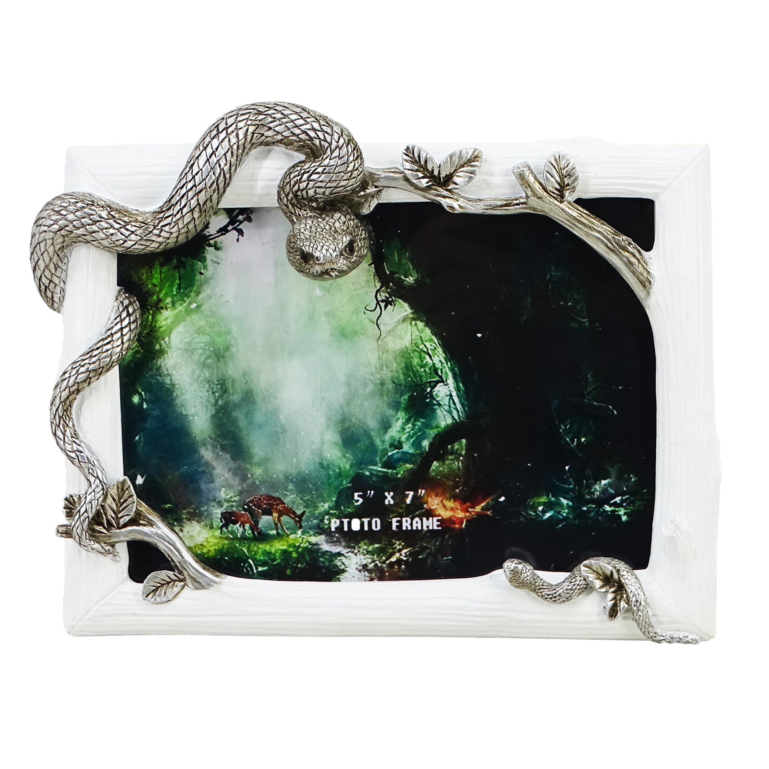 Amazon.com - Decorative Snake Resin Picture Frame - 5x7 Inch